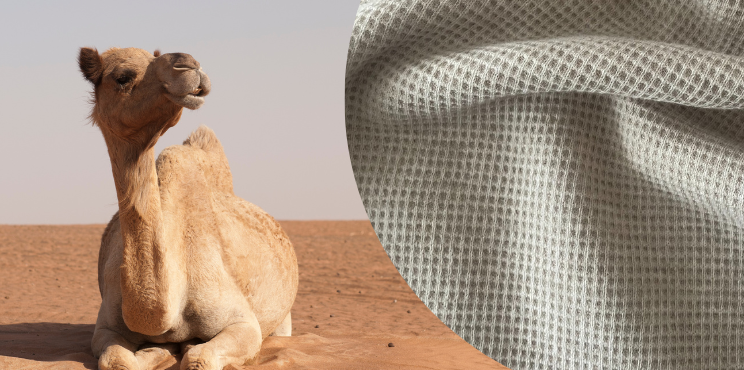 Most Desired at Textile Fairs: Introducing the Bio-Camel Blend Fabric